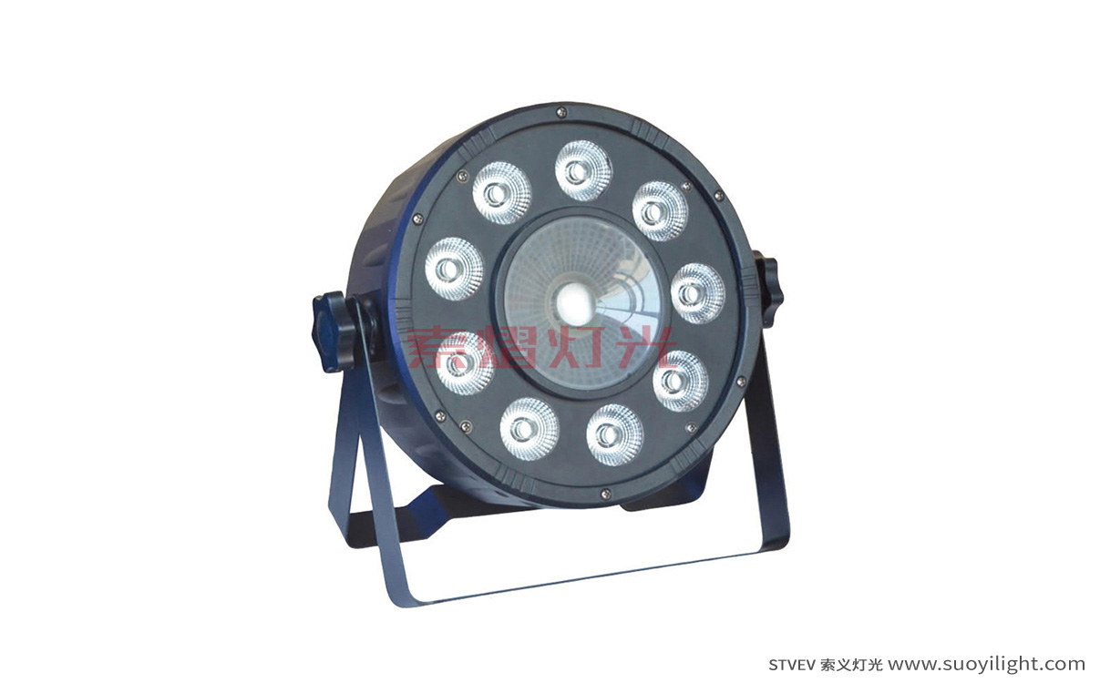 Argentina9+1 LED Plastic Par Light quotation