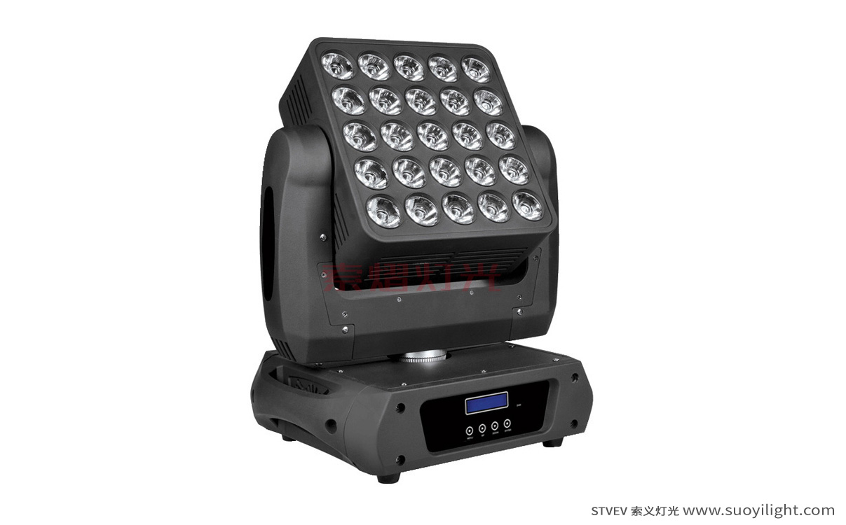 Argentina25pcs Matrix LED Light supplier