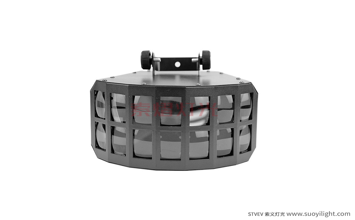 ArgentinaLED Double Butterfly Light manufacturer