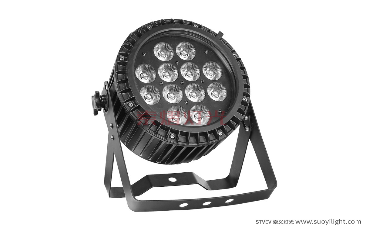 Argentina12*12W 6 in 1 Waterproof LED Par Light manufacturer