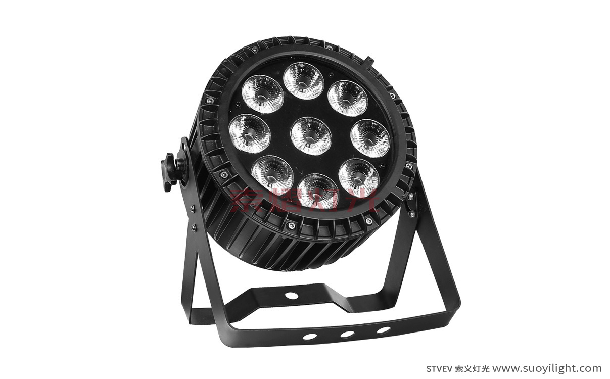 Argentina9*12W 4 in 1 Waterproof LED Par Light production