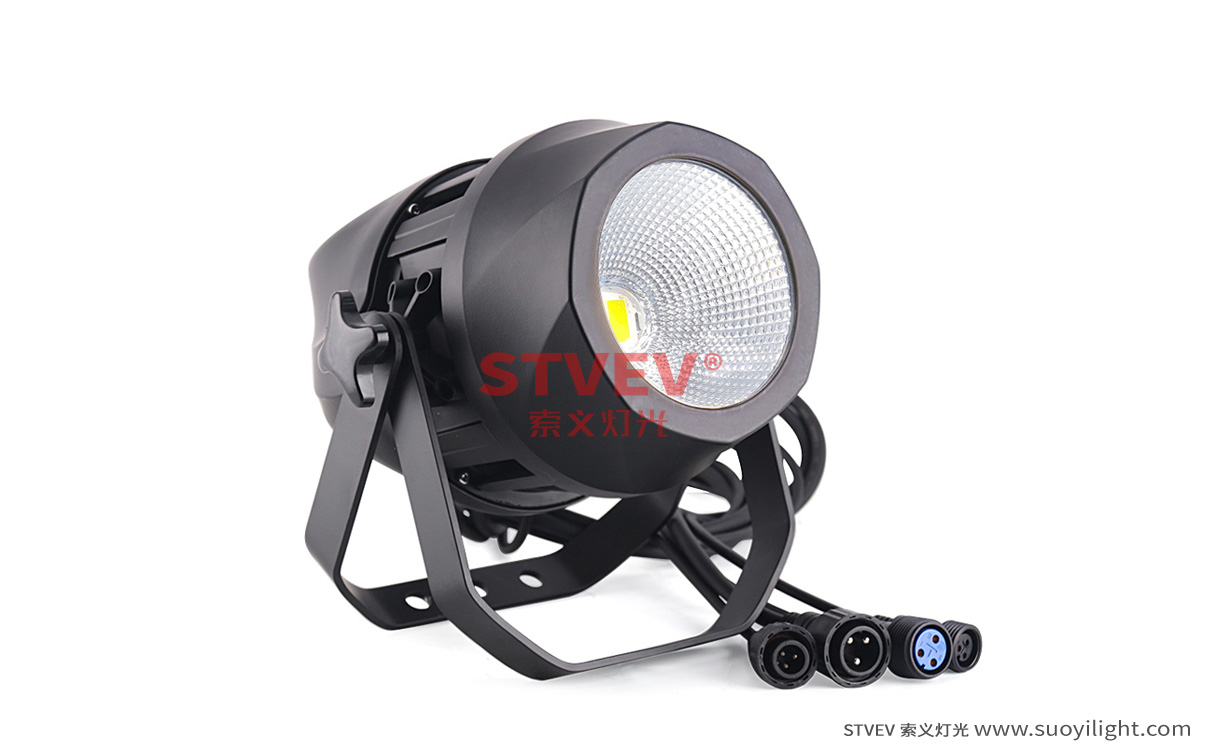 Argentina200W Waterproof COB Par Light manufacturer