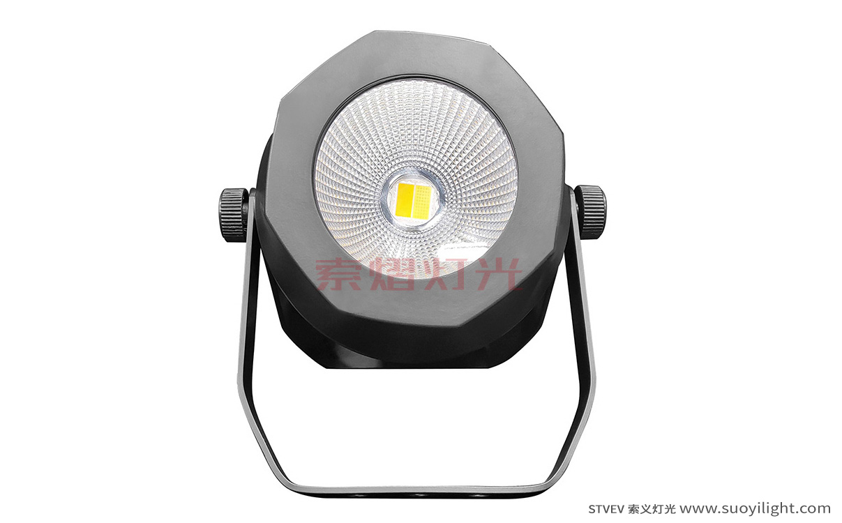 Argentina200W Waterproof COB Par Light production